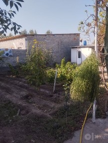 Ташкентская область, Ташморе