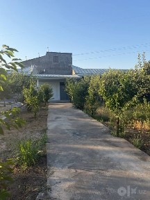 Hovli sotiladi 1 sotix olmazor tumani