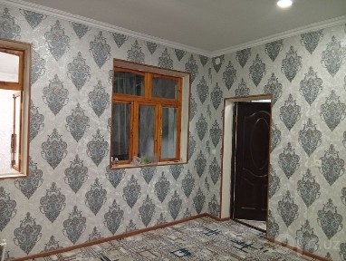 Srochniy qibrey setrga yaqin joyda