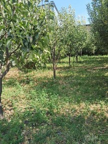 № 4075. Продается Дом Мотрид.