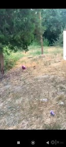 Байткурган. 50 соток, строений 500м2