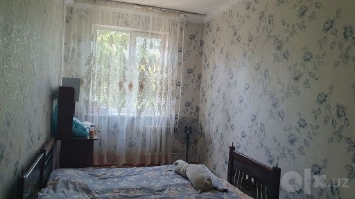 Kvartira ( student qizlar uchun 3 ta tartibli qizlarni olamiz