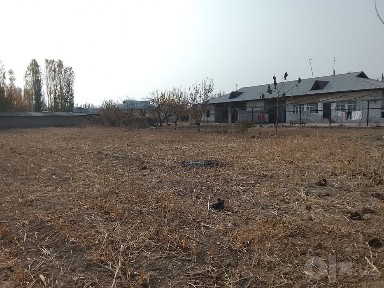Ташкентская область, Ташморе