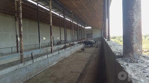 AT Xalq bankining Sirdaryo viloyatidagi Molxona binosi