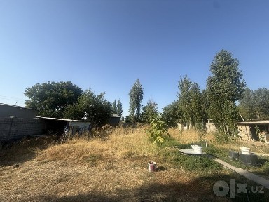 Ташкентская область, Янгибазар