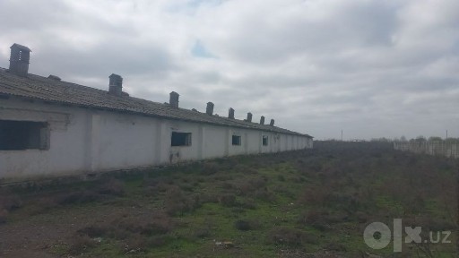 Сырдарьинская область, Баяут
