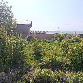 Uy Hovli DAla Hovli Sotiladi