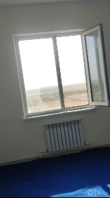 Termiz limondan pedagogika instituti oldida