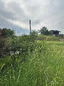 Срочно Продается дачный участок 6 соток