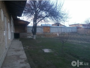 Xasanboy toshkent tumani 11 sotix 4 xona. 1.5km betonkadam