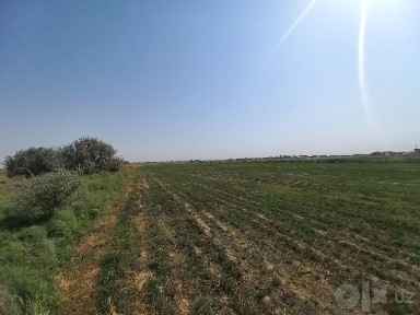 Бино сотилади 48 гектар ерни хам бор