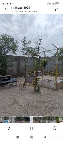 Тошкент туманида арзон документблан участка оламан диганлага зор таклф