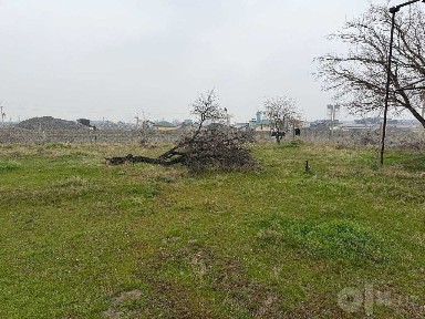 Самаркандская область, Самарканд