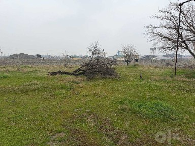 Самаркандская область, Самарканд