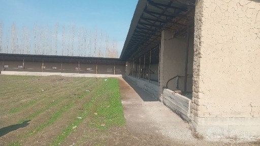 Zudlik bilan sotiladi