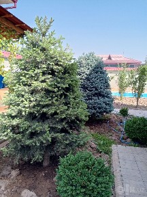 Сдается участок в аренду