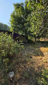 Богистон тумани товоксойда 1.48га ер майдоми 1.220м2 ижарага берилади