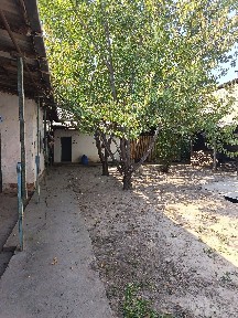 Продаётся дом в центре Пахты - Ташкентская область, Чиназский район