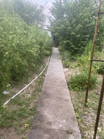 Продается дача. Новбахор