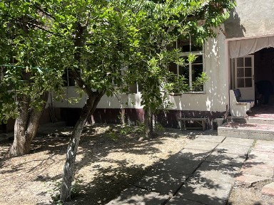 Аренда участка уч тепа арча кўча махалла пахтакор