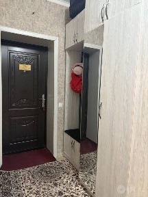 Kvartiraga student qizla olaman faqat ozoda yaxshi qizla qilila