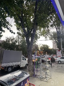 Toshkent Tayyor biznes dokon sotiladi. KUNIGA 10 mln SAVDO BOLADI