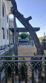 Ташкентская область, Ташкент, Юнусабадский район