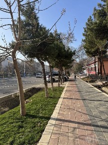 Ташкентская область, Ташкент, Мирзо-Улугбекский район
