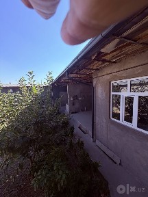 Уч кахрамон 5 км Онкоргон Обод махалласида 4.5 сотик