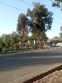 Сдаётся в аренду дом с видом на новый парк развлечений