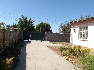Ташкентская область, Янгиюль