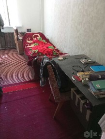 Квартира ижарасига шерик бўладиган талаба йигитлар борми?