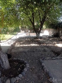 Дом (участок) парк Янги Узбекистон