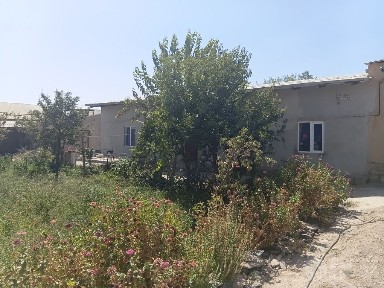 Navroz mahalla yangi bino kochasida 8 sotixli xovli