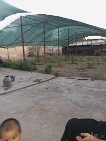 Ташкентская область, Коксарай