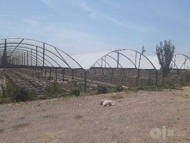 Наманганская область, Пап