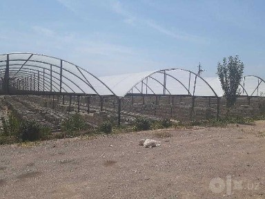 Наманганская область, Пап