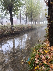 Ховли уй 17 сотик