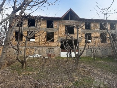 Oltin tepa kohinur