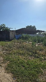Ташкентская область, Зангиата
