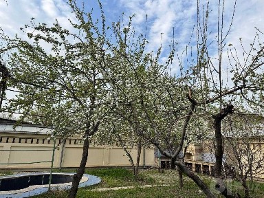 Дурмень, Кибрайский район, 8 соток, дом 200м2, документы в порядке!