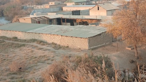 Dacha sotiladi Navoiy viloyati Karmana tumani yangi gres yonida