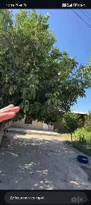 Самаркандская область, Самарканд