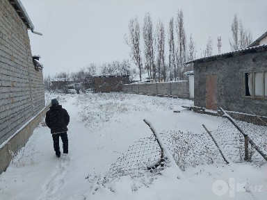 Ташкентская область, Янгибазар