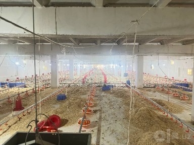 Птицеферма на продажу