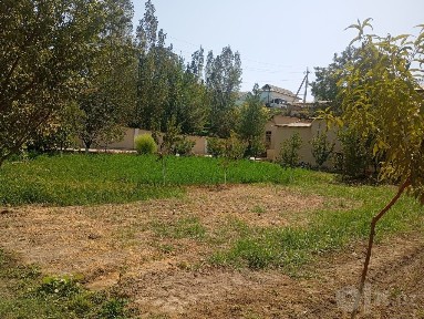 17 sotix uy sotiladi Shahrisabz