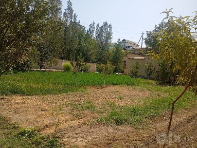 17 sotix uy sotiladi Shahrisabz