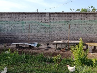 Продам дом с участком 10 соток в экологически чистом районе