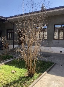 Ташкентская область, Ташкент, Юнусабадский район
