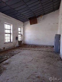 Ustaxona binosi